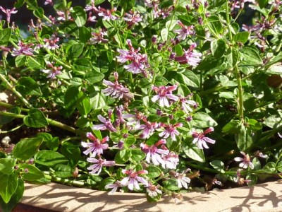 20120528 088 - Kopie (640x480).jpg