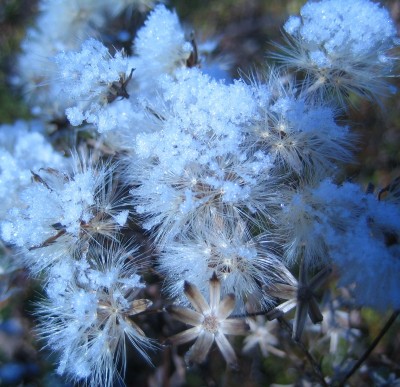 Ende Oktober 029.jpg