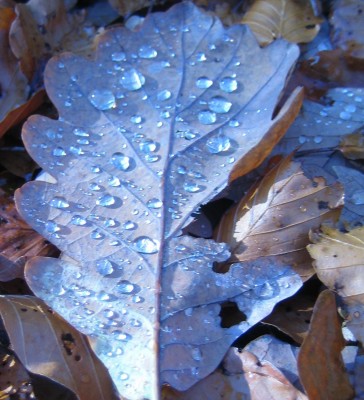 Ende Oktober 038.jpg