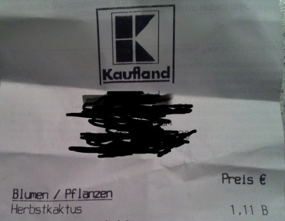 Herbstkaktus2.jpg