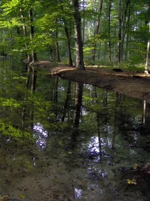 HPIM0916.JPG