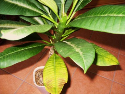 Photo2.jpg