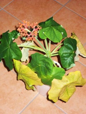 Photo1.jpg
