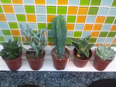 2012-11-02 17.55.31.jpg