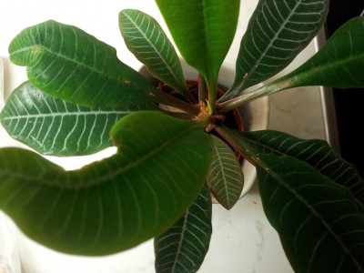 2012-11-02 21.23.29.jpg