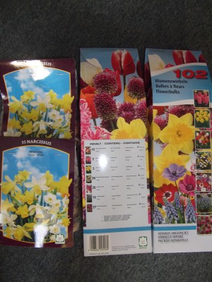 DSCF6575.JPG