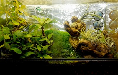 dsc_9437_Terrarium.jpg