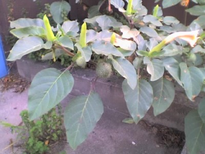 21-09-07_0917.jpg