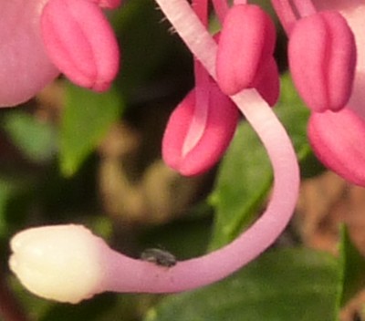 20120624 026 - Kopie.JPG