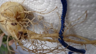 05.11.2012 006.JPG
