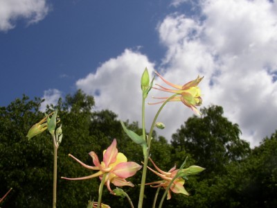 P101100330 (14)_01.jpg