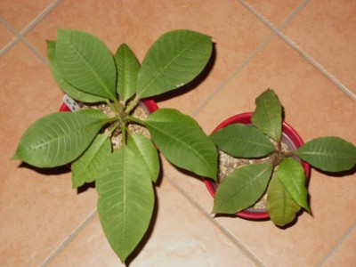 Photo2.jpg