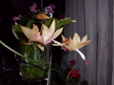 DSCI0001 (640x480).jpg