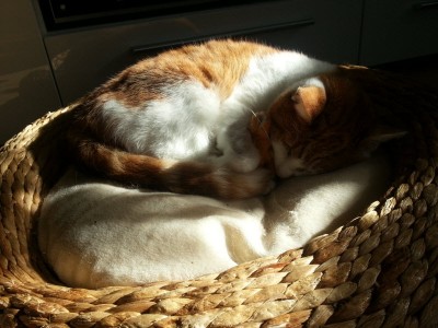 20121104_122030.jpg