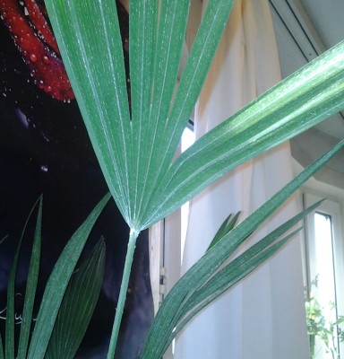 20121106_145938-1.jpg