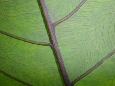 Kopie von bilderbuch 320.jpg