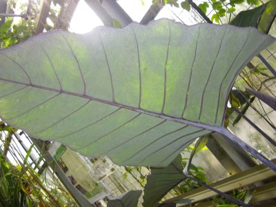 Kopie von bilderbuch 318.jpg