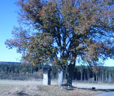 Sauerland Ende Oktober 042.jpg