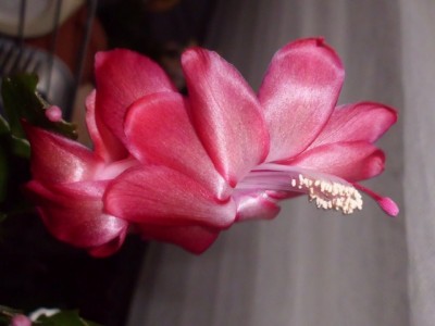 DSCI0003 (640x480).jpg