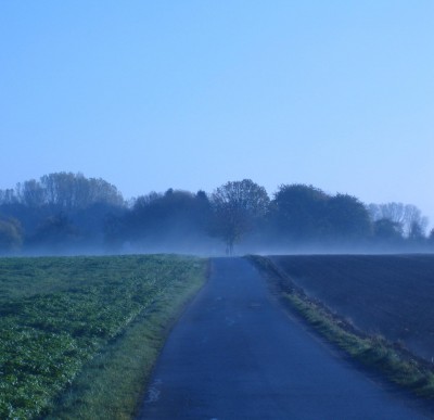 green10 154.jpg