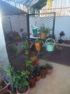 DSC04264 (800x600).jpg