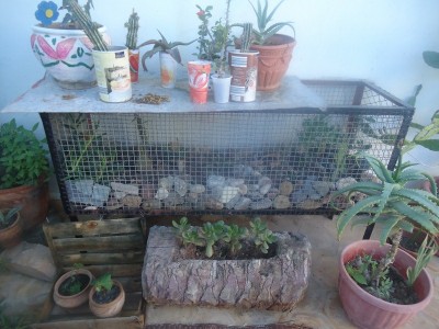 DSC04260 (800x600).jpg