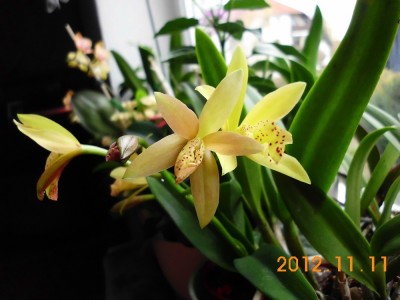DSCI0987.JPG