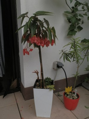 t_p7270020_205.jpg