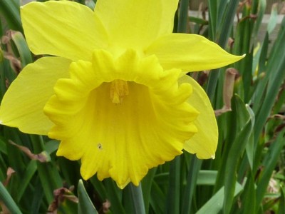 20120407 051 - Kopie (640x480).jpg