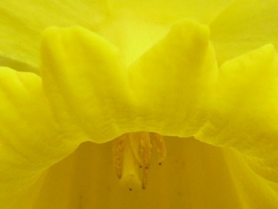 20120407 050 - Kopie (2) (640x480).jpg