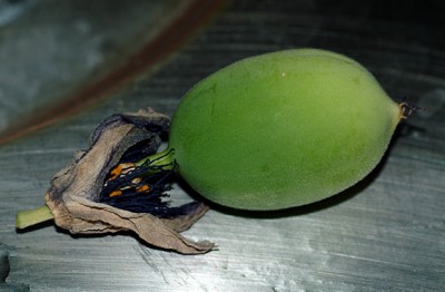 DSCF7067g.jpg