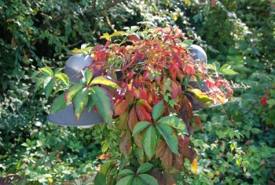 Gartenbeleuchtung-kontrolle.jpg