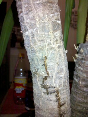 2012-11-14_20-48-14_744.jpg