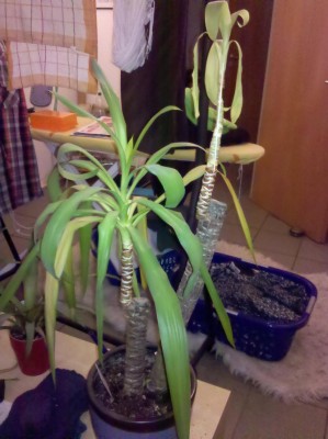 2012-11-14_20-47-59_201.jpg