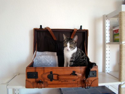 DSC09265 - Kopie.JPG