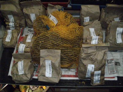 PICT0263.JPG