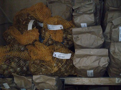 PICT0261.JPG
