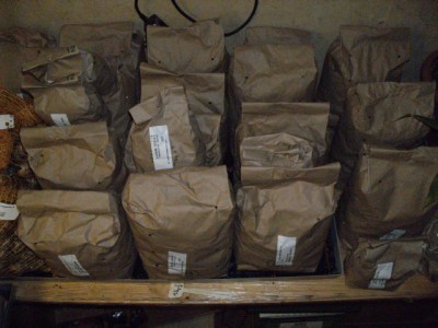 PICT0260.JPG