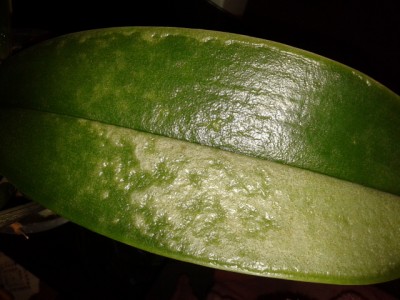20121117_181836.jpg