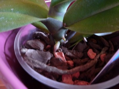 P1000147.JPG