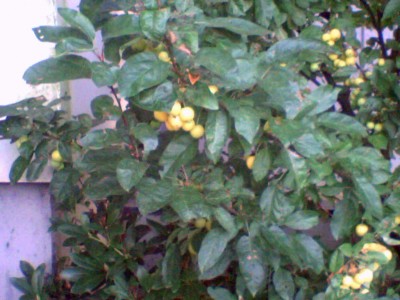 SP_A0222.jpg