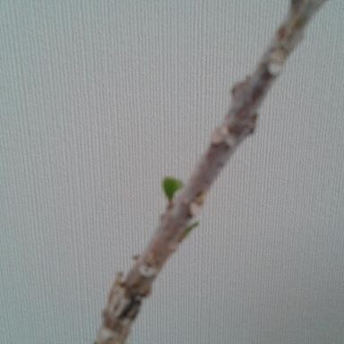 2012-09-30 12.17.37-1.jpg