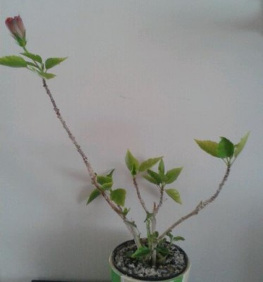 2012-09-30 12.15.49-1.jpg