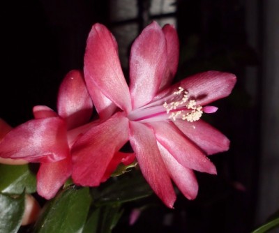 DSCI0022 (640x534).jpg