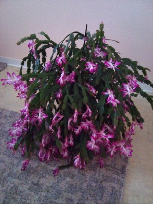 2012-11-18 10.14.44.jpg