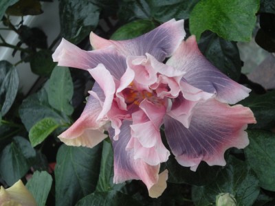 DSC04383 Marianne Charlton day1 1000px.jpg