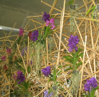 Floriade 2012 027.jpg