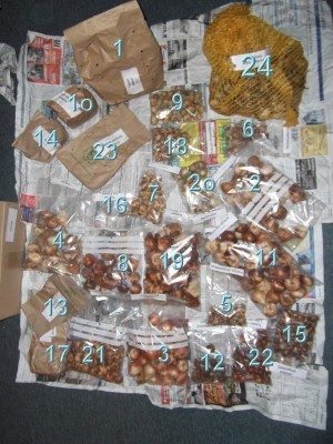 t_kalender_799.jpg