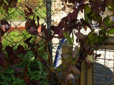 Bild 008.jpg