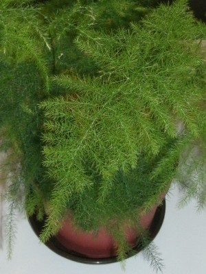 Neuzugang Ausschnitt.jpg